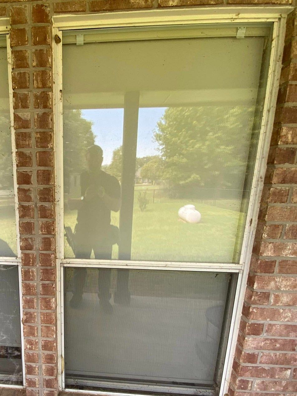 A window with a screen reflects a person outside, visible against a green lawn and sky.