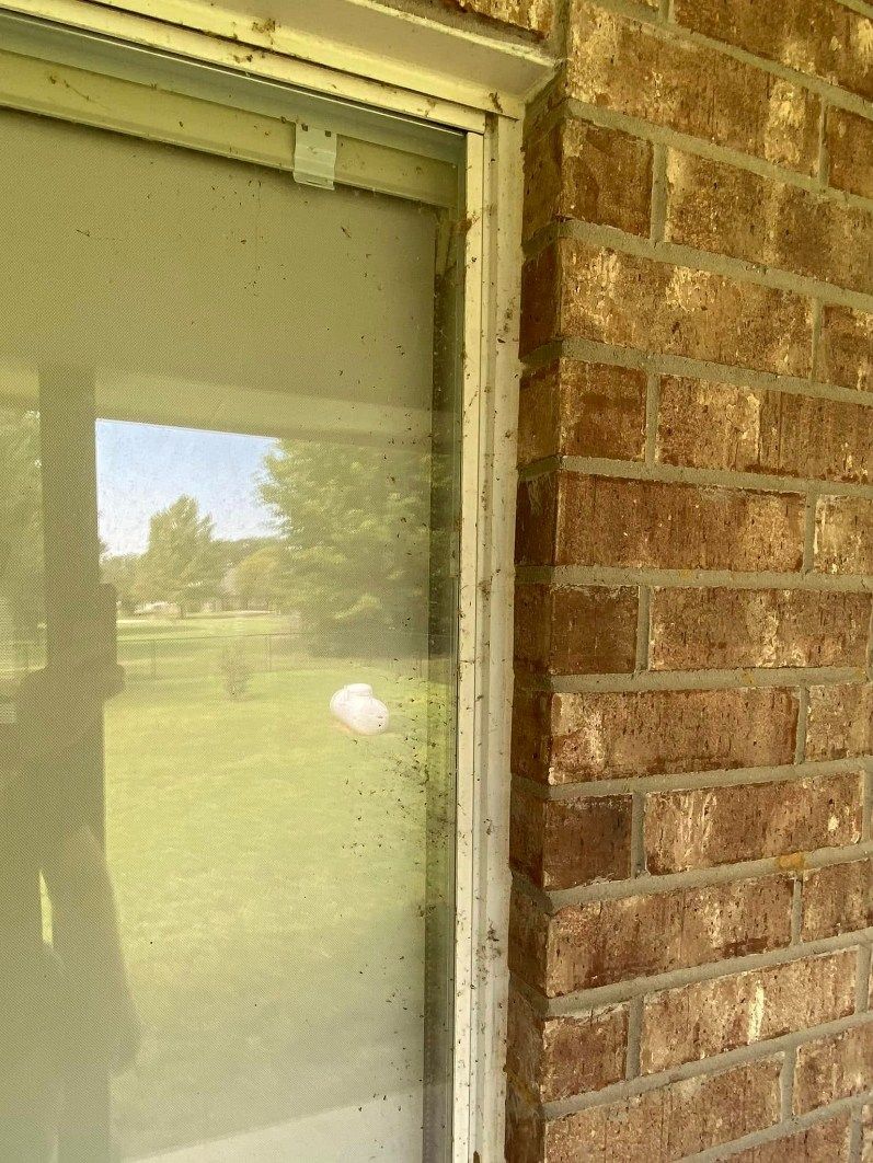 Brick wall next to a glass door with a screen. Green trees and sky are reflected in the glass.