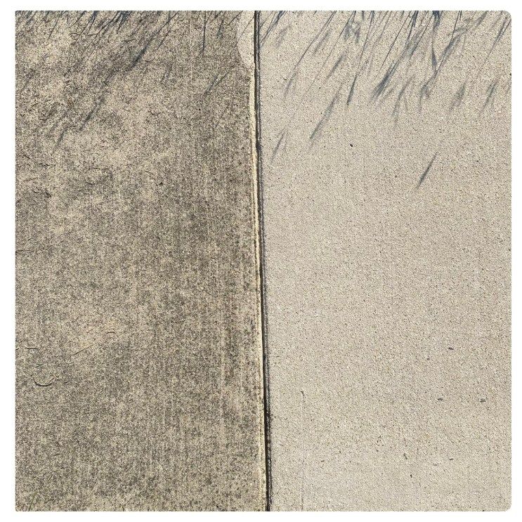 Concrete walkway cleaned on the right, showing contrast. Sunlight casts shadows on both halves.