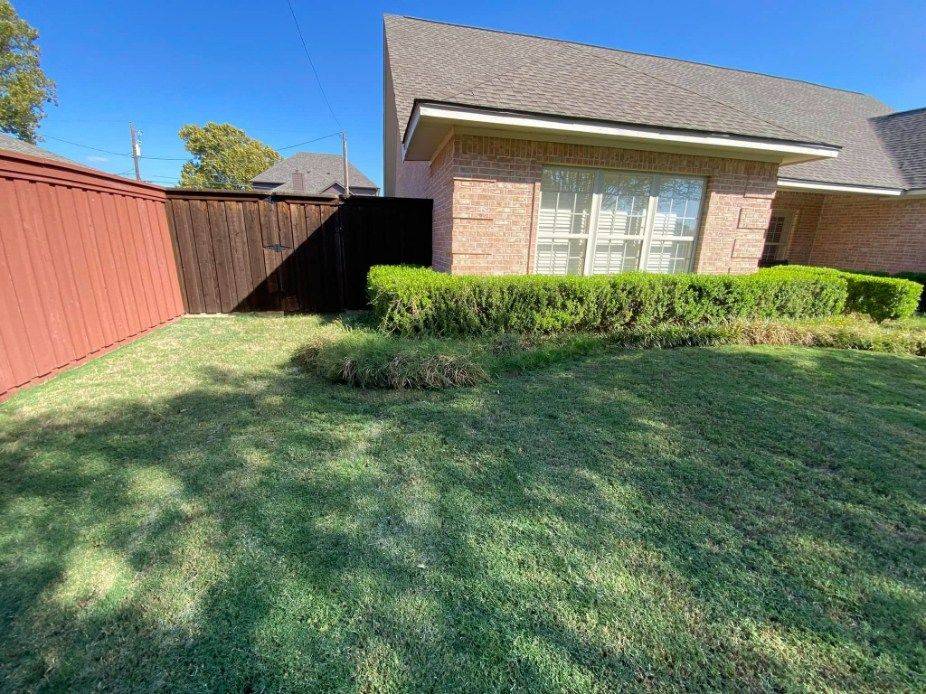 A front yard with a brick house, green lawn, brown fence, and manicured bushes under the window.