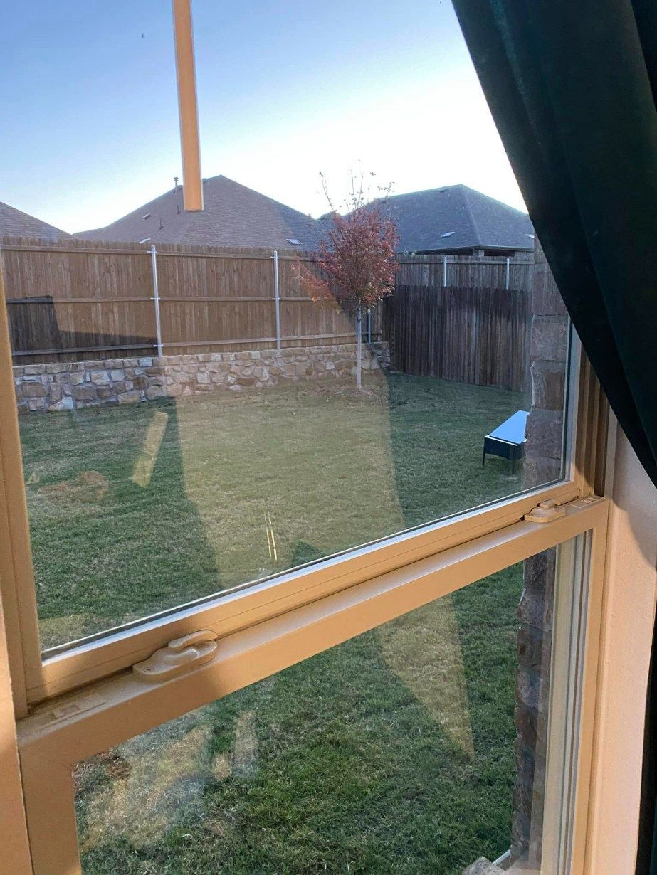 View through a window of a backyard with green grass, a wooden fence, and neighboring houses.