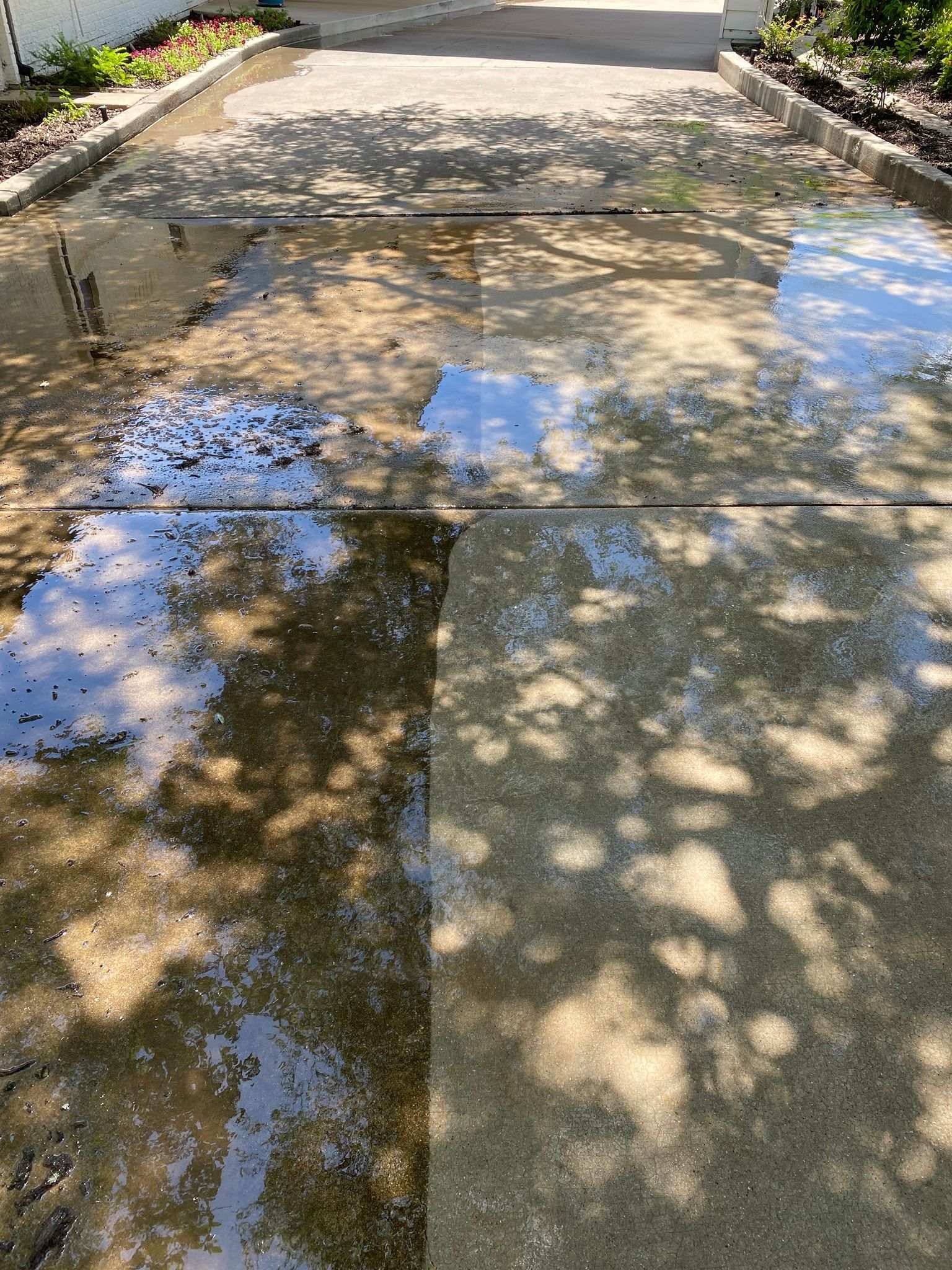 Wet concrete driveway, partially cleaned, reflecting sky and tree shadows.