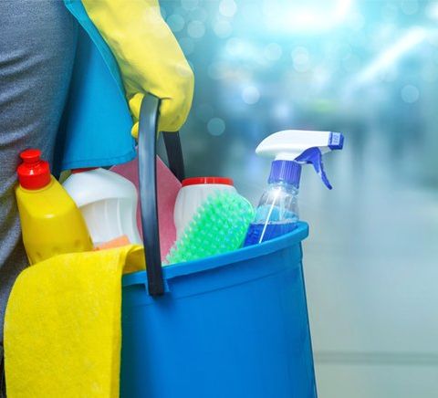 Handyman — Cleaning Lady With Cleaning Products in Seattle, WA