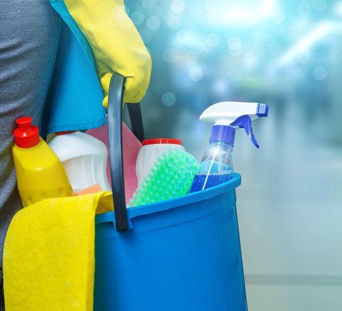 Handyman — Cleaning Lady With Cleaning Products in Seattle, WA