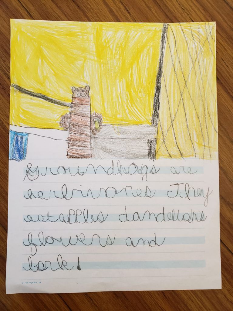 student homework - Milwaukee 4