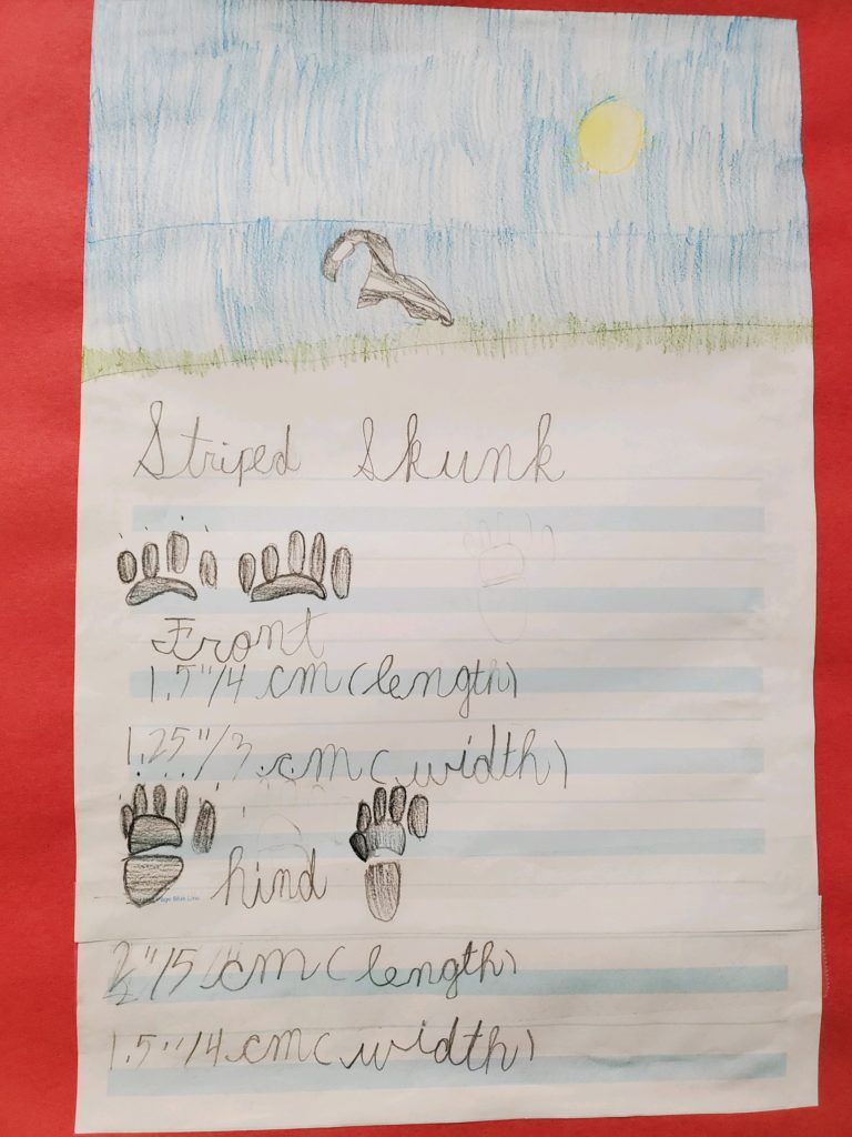 Children’s House (3 - 6 years)  writing skill