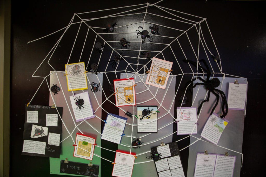 Lower Elementary (grades 1 - 3) - Milwaukee Montessori School
ri School