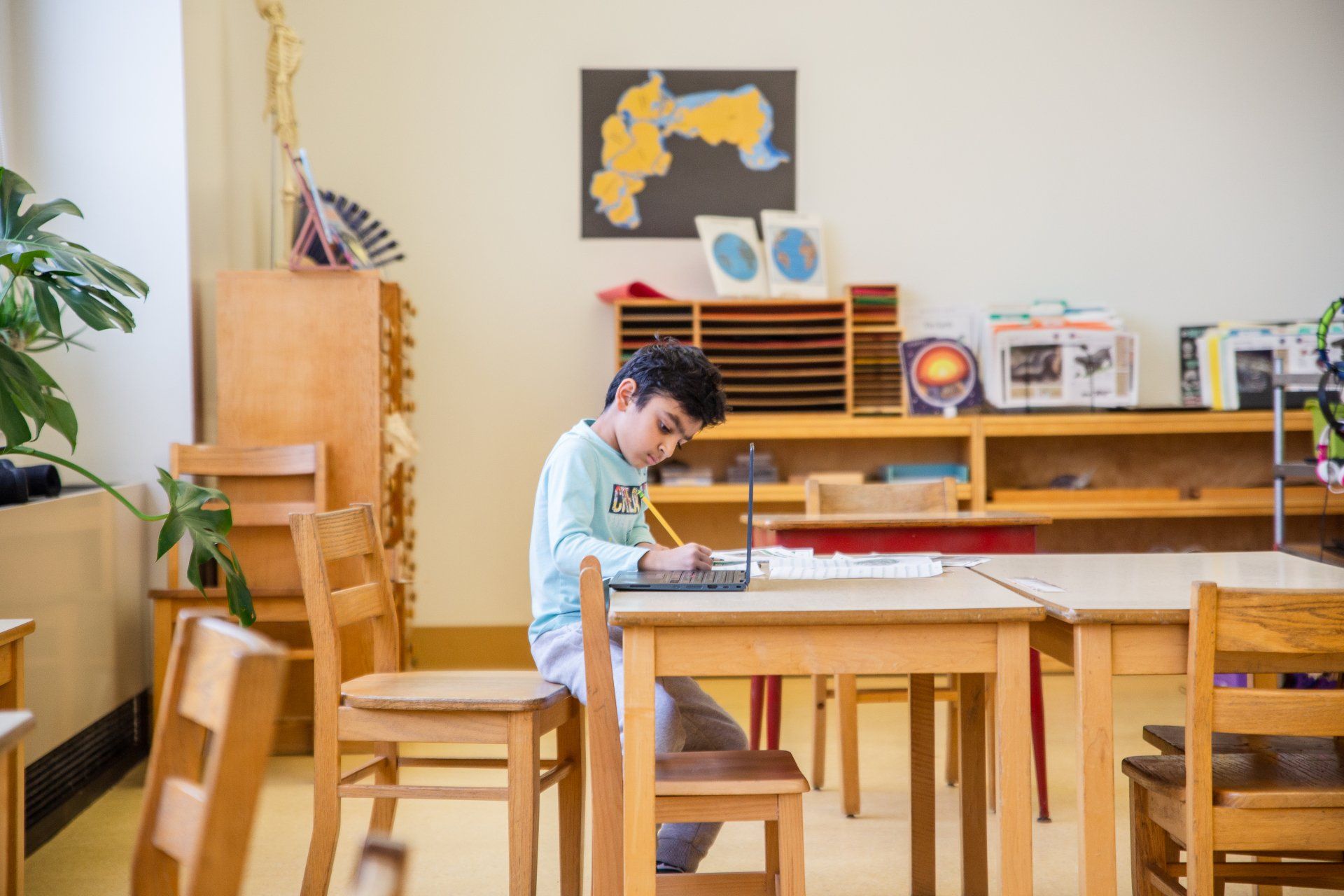 Lower Elementary (grades 1 - 3)