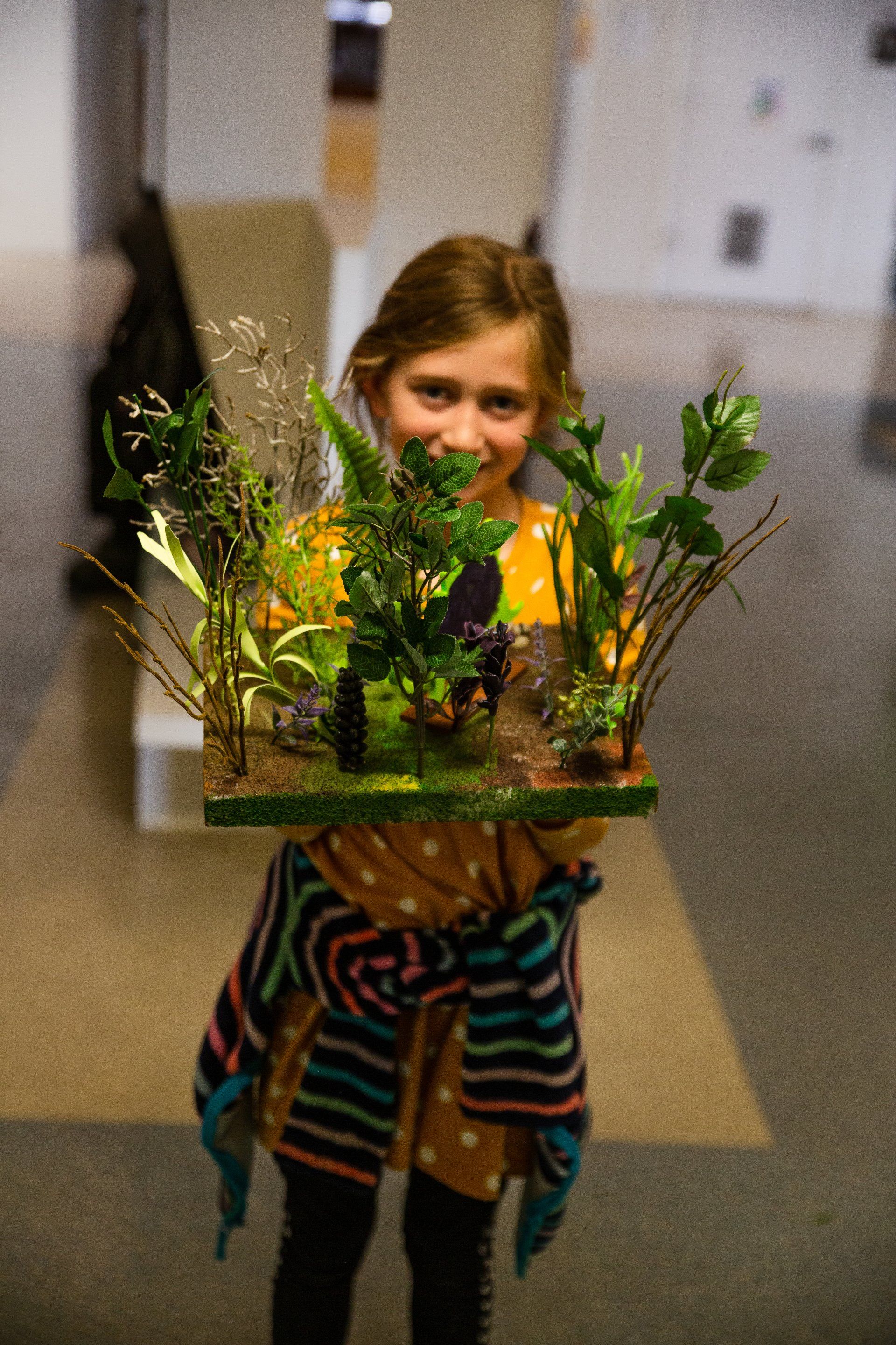 Lower Elementary (grades 1 - 3)