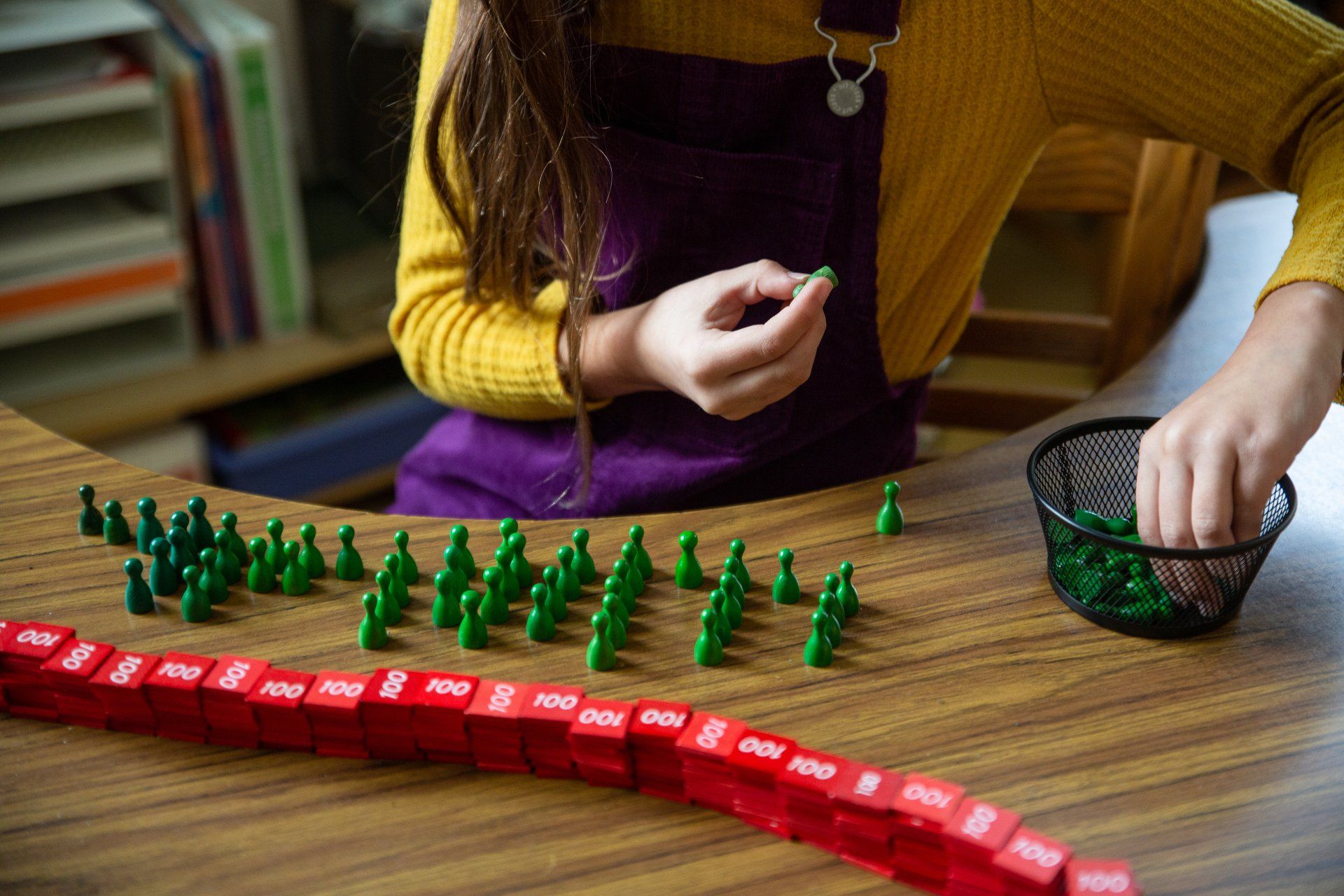 Lower Elementary (grades 1 - 3)