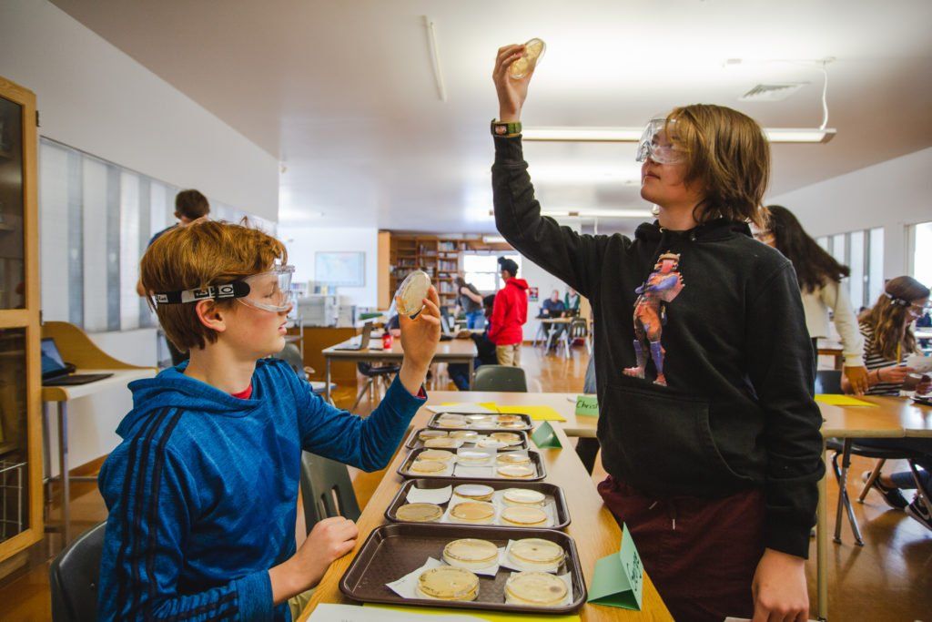 7th - 8th Grade student at Lab