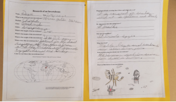 Lower Elementary (grades 1 - 3) - Milwaukee Montessori School