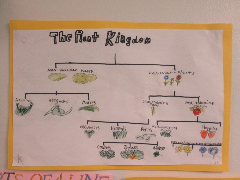 Lower Elementary (grades 1 - 3) - Milwaukee Montessori SchoolLower Elementary (grades 1 - 3) - Milwaukee Montessori School