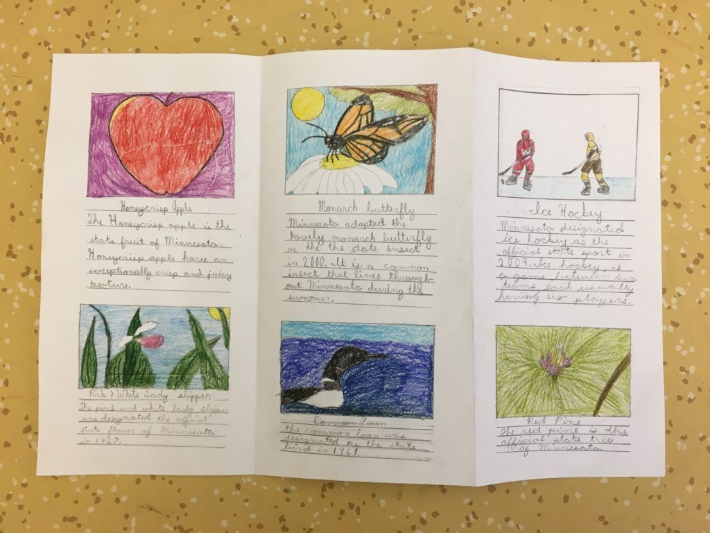 Lower Elementary (grades 1 - 3) -