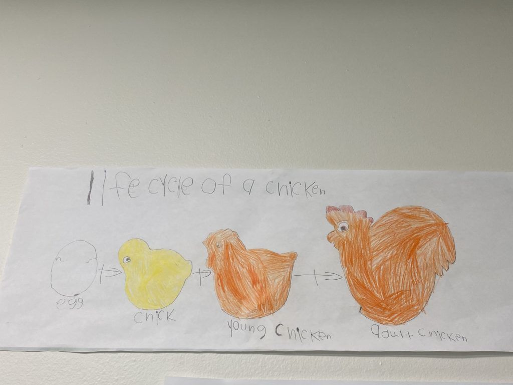 Children’s House (3 - 6 years) art Milwaukee Montessori School