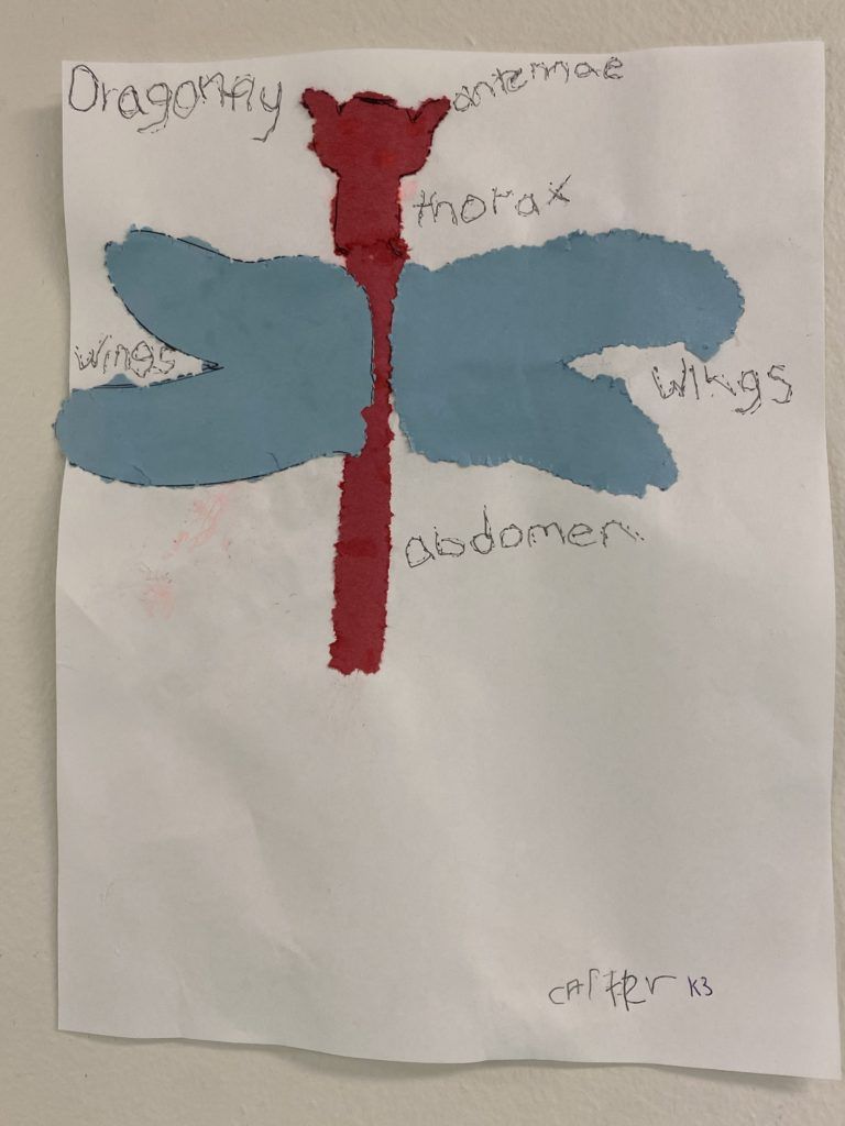 Children’s House (3 - 6 years) art