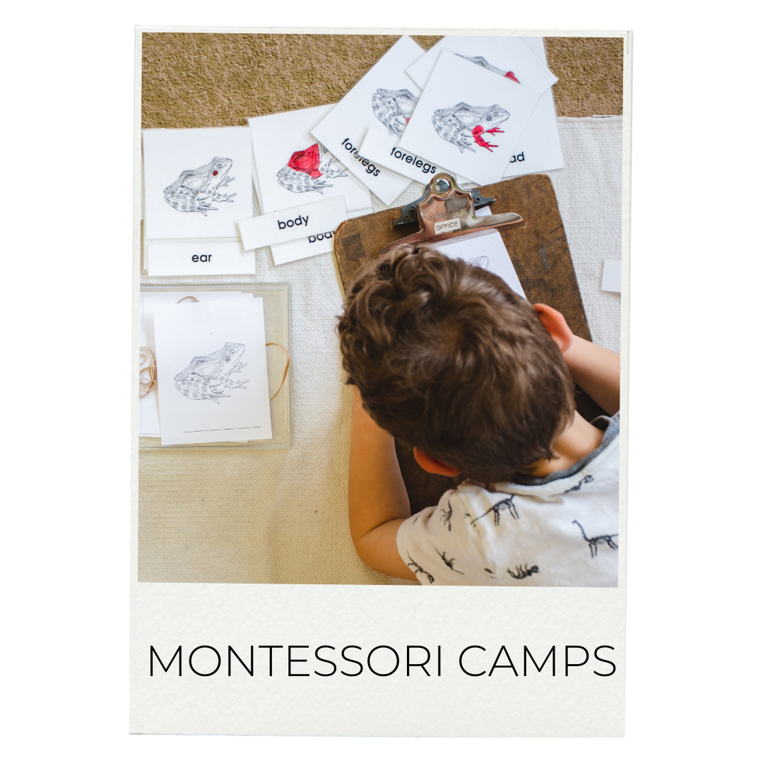 Student drawing on paper - Milwaukee Montessori School