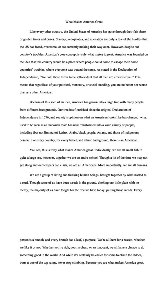 VFW-Essay