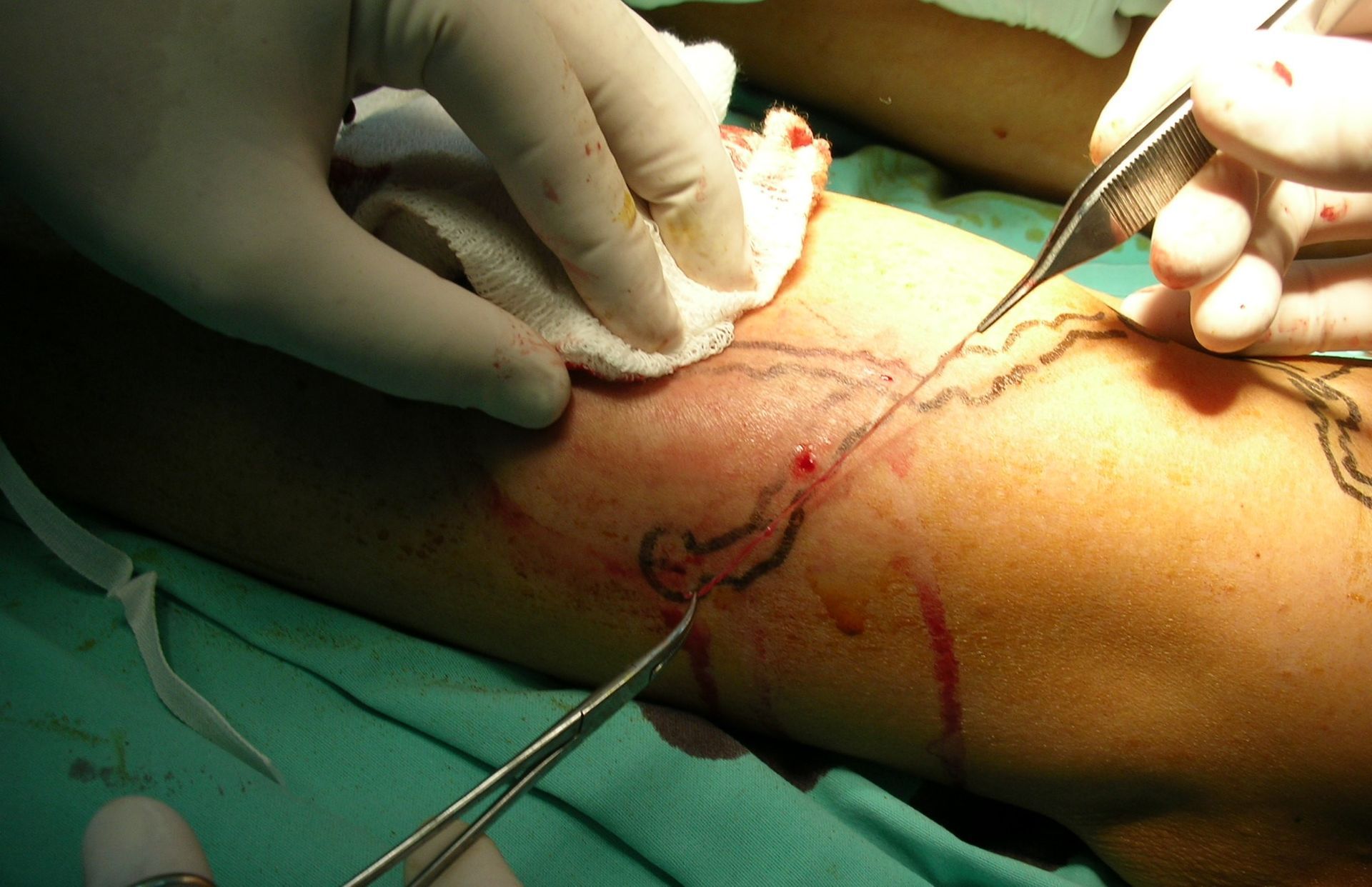 dr santiago de salas