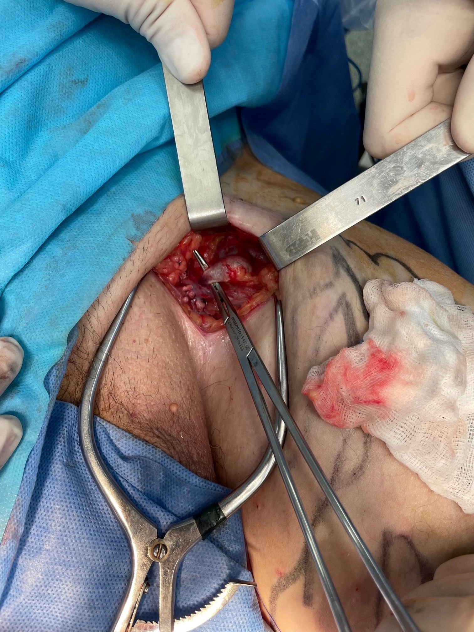 dr santiago de salas