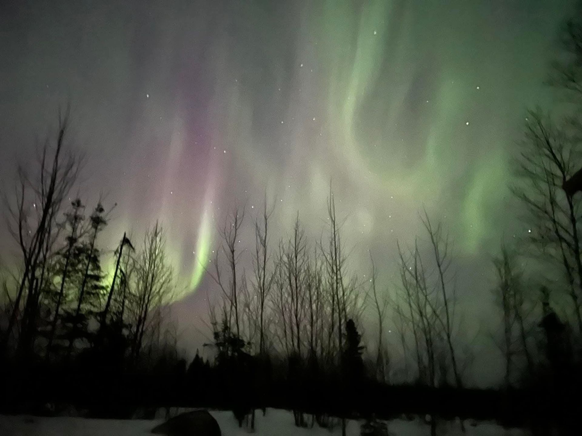 Vibrant green and purple aurora borealis swirl above a dark, snow-covered forest at night.