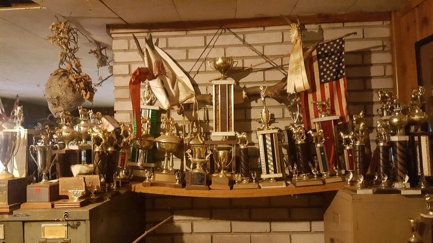 A collection of various sports trophies displayed on a shelf in front of a white brick wall and an American flag.