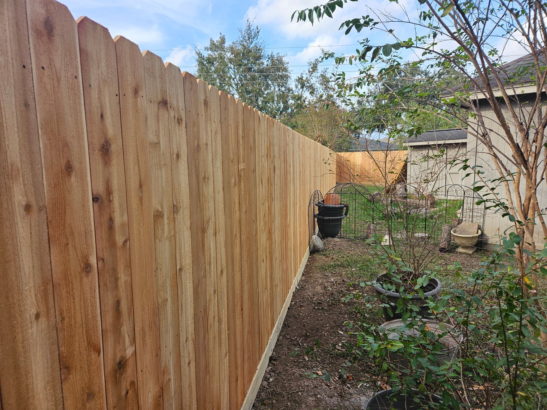 Wooden fence bordering a backyard with grass, plants, and a small shed; overcast sky.