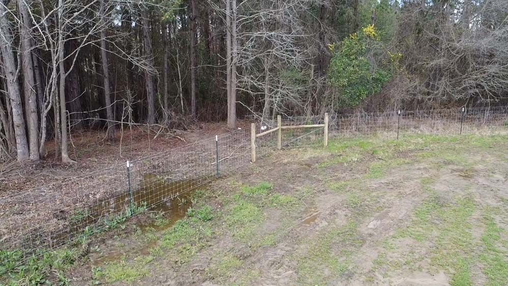 Fence separating grassy field from a wooded area. The fence has wooden posts and wire mesh.