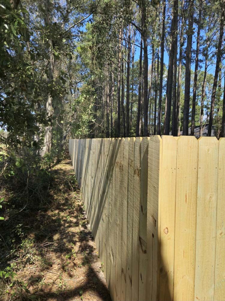 Wooden fence bordering trees under a sunny blue sky.