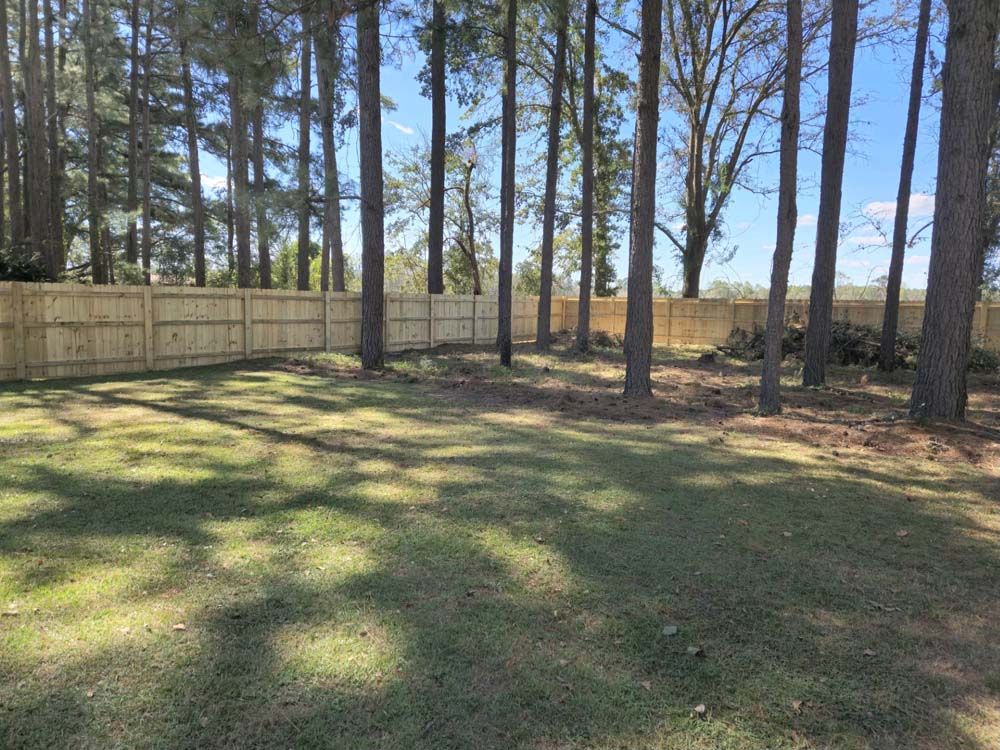 Backyard with green grass, tall trees, and wooden fence on a sunny day.