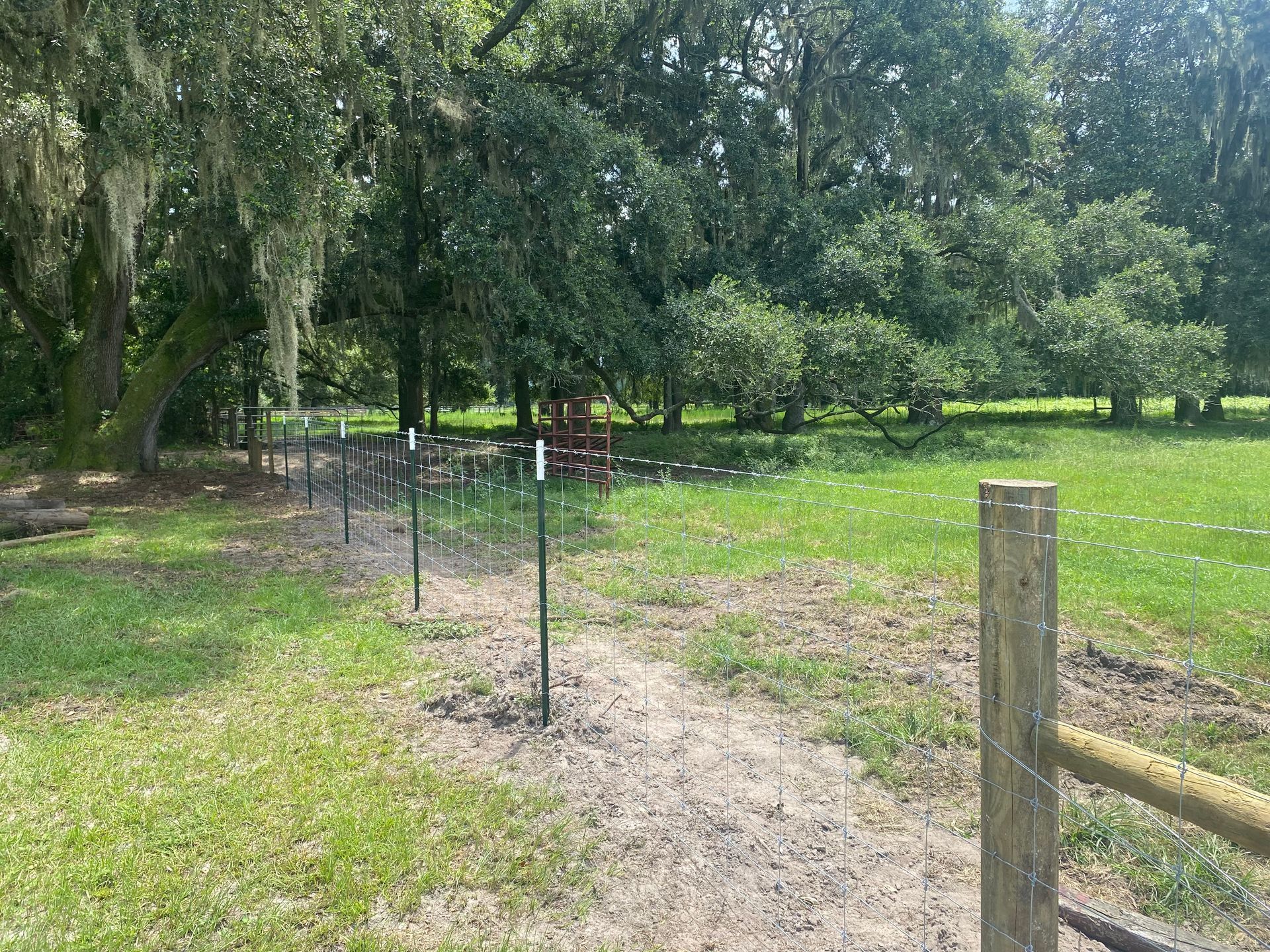 A dirt path leading past a green metal fence and grassy field toward trees under a sunny sky.