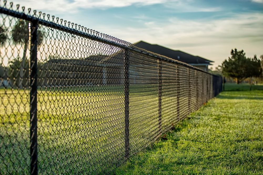Black chain-link fence in a grassy field, with a house and trees in the background under a blue sky.