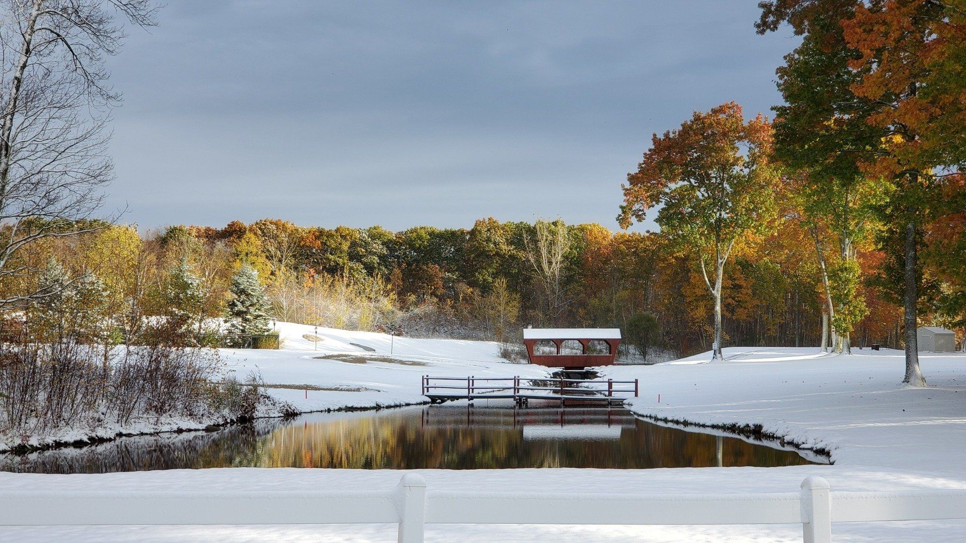 A snowy field with trees and a pond in the foreground