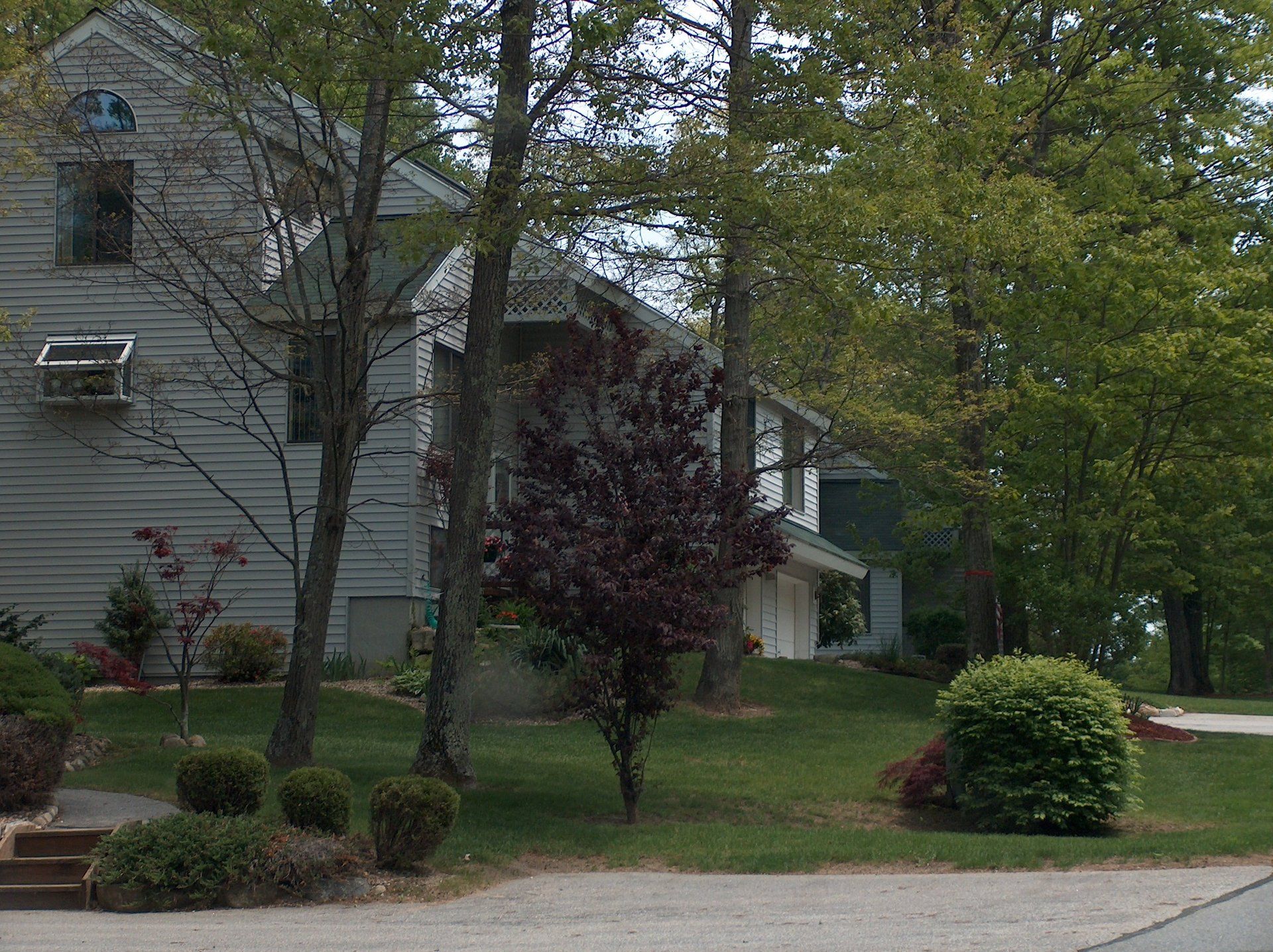 A house with a lot of trees in front of it