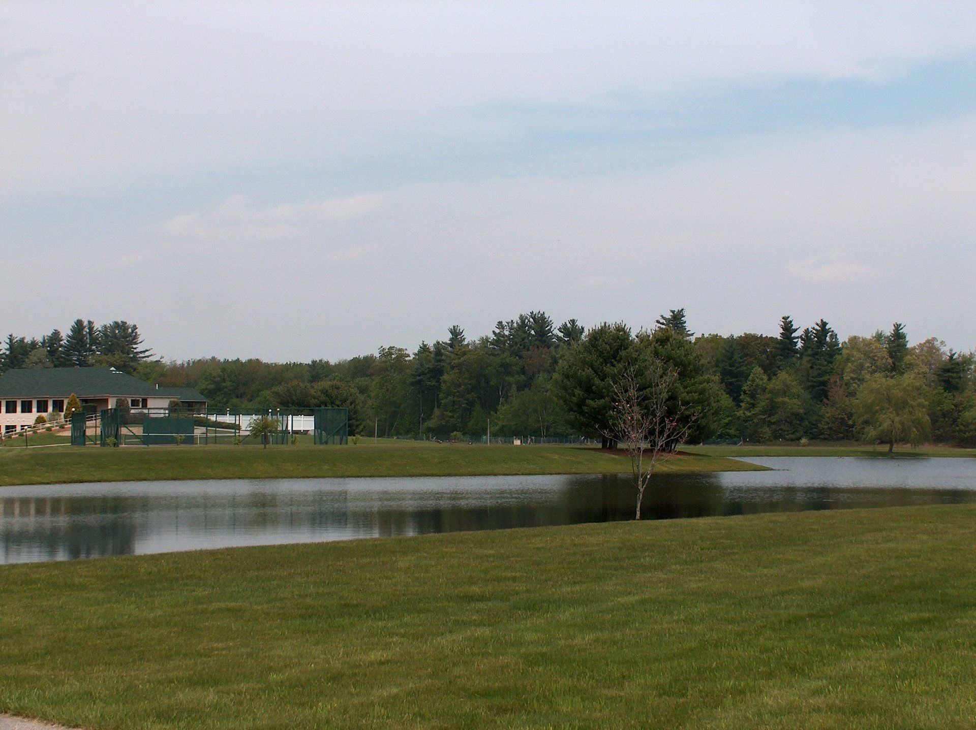 A large body of water surrounded by grass and trees