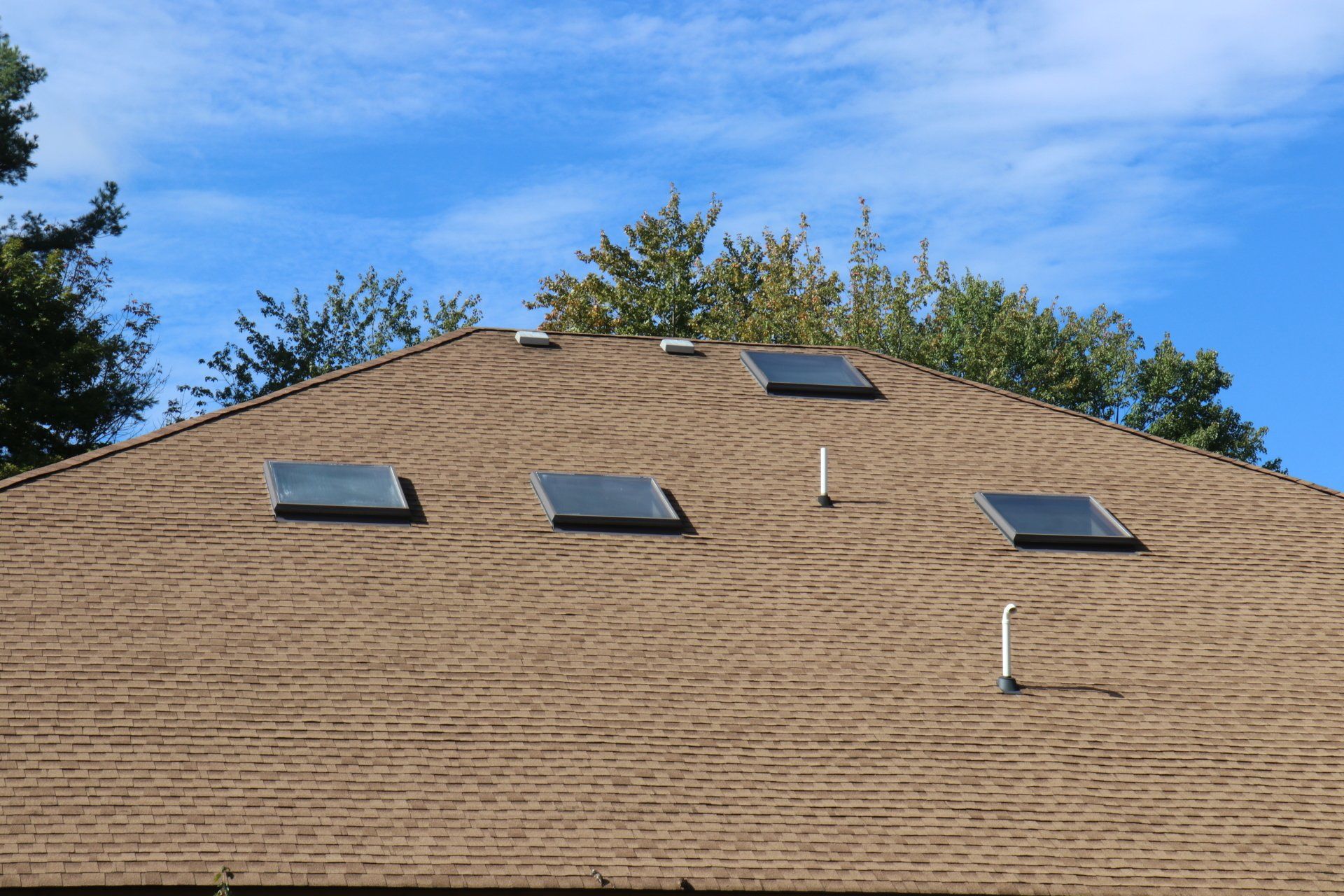 Lewis Professional Building