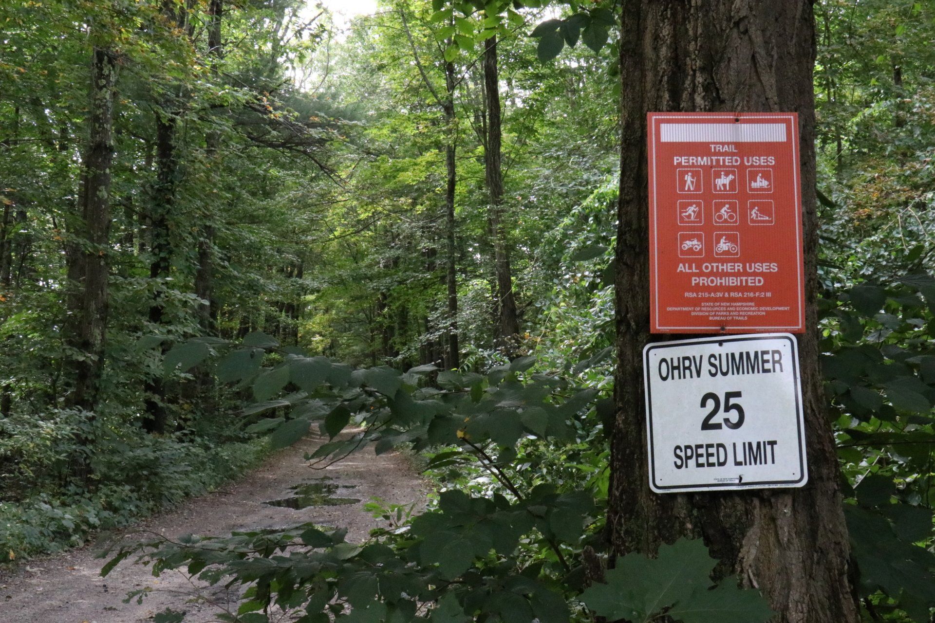 A sign on a tree that says 25 speed limit