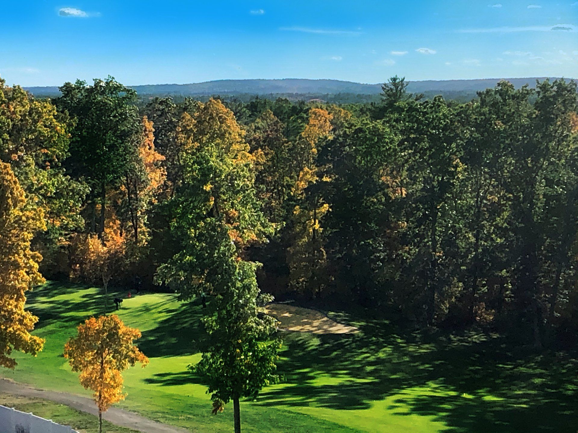 An aerial view of a golf course surrounded by trees on a sunny day