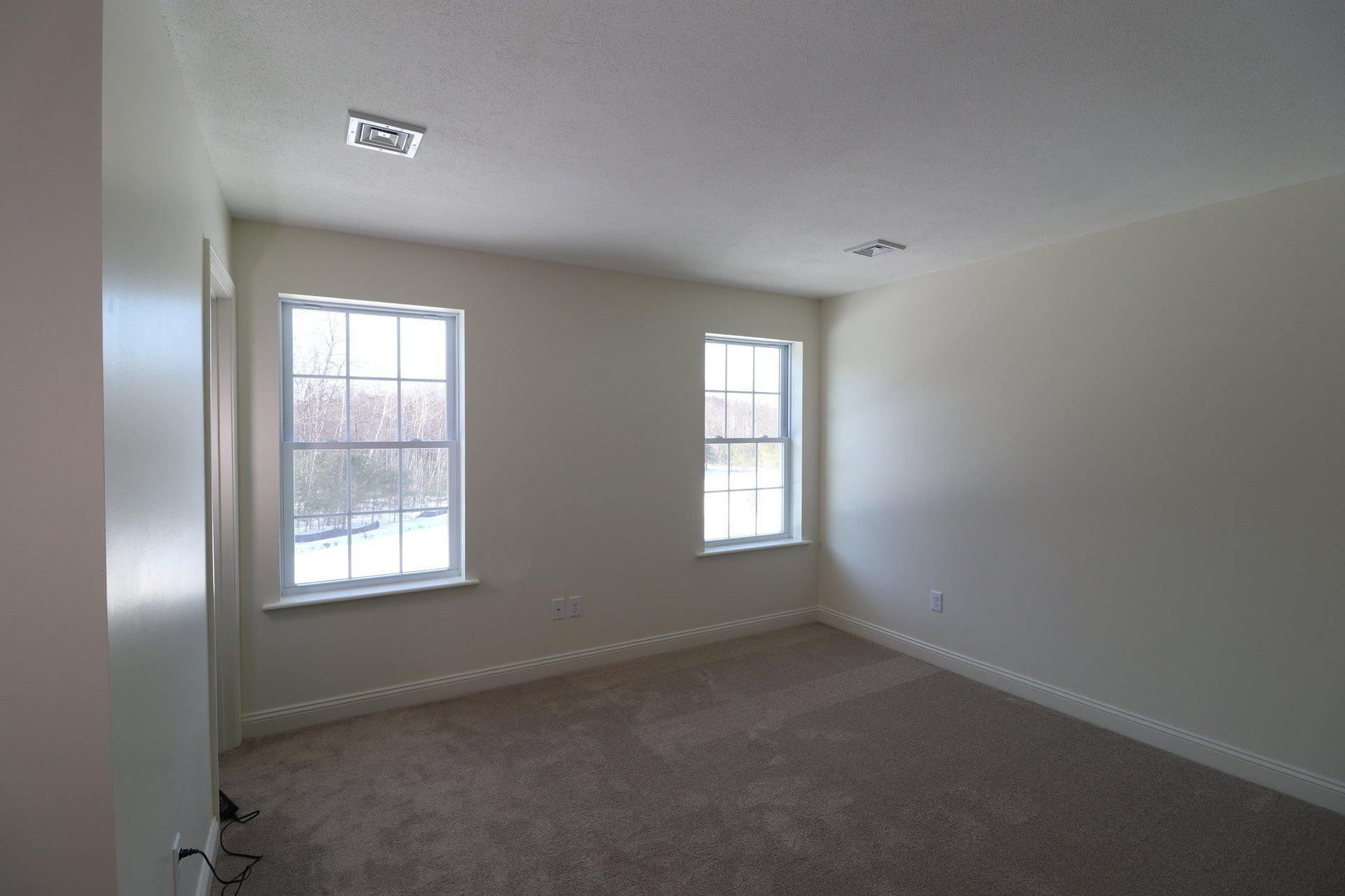 An empty bedroom with two windows and a carpeted floor.