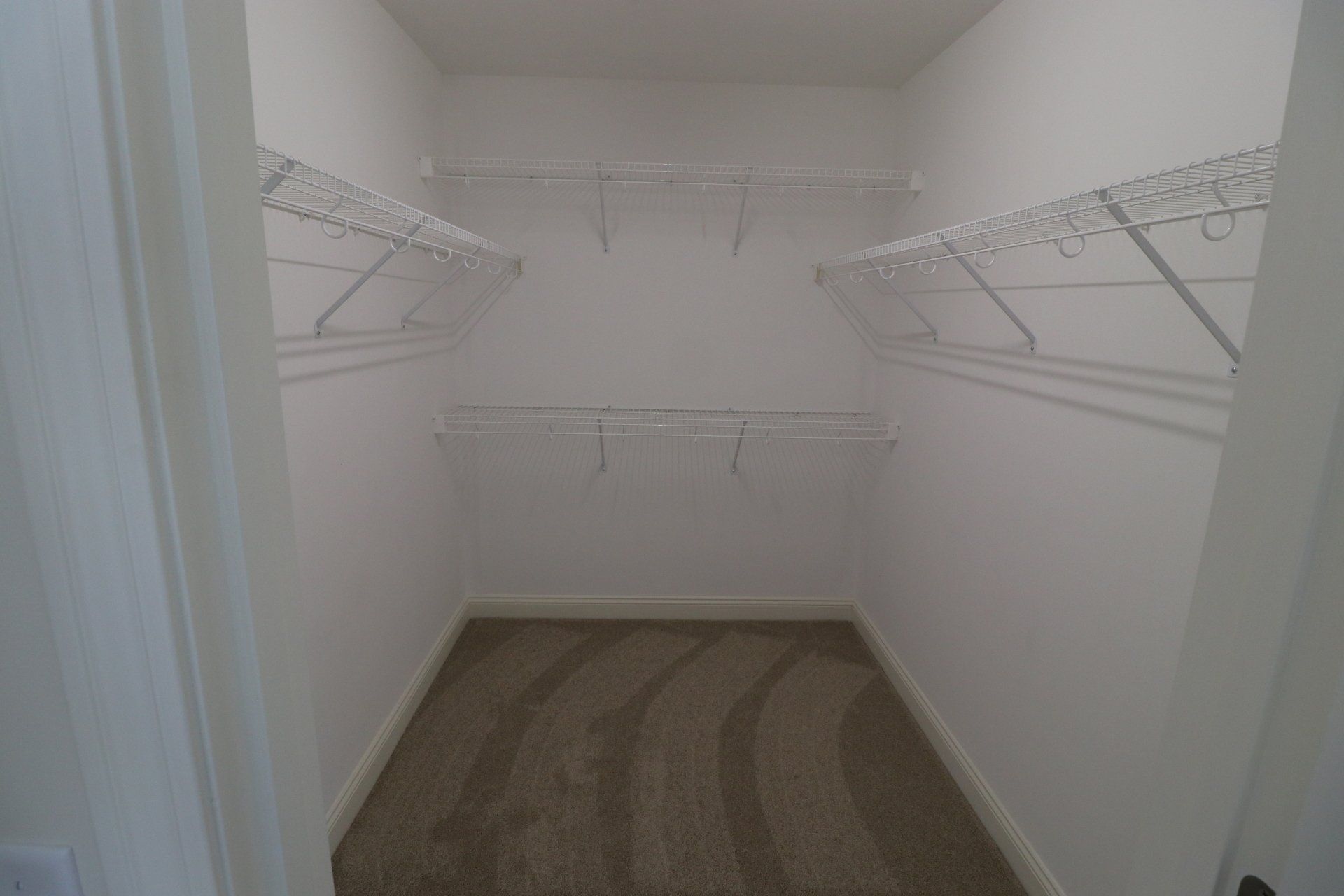 A walk in closet with a lot of shelves and a carpeted floor.