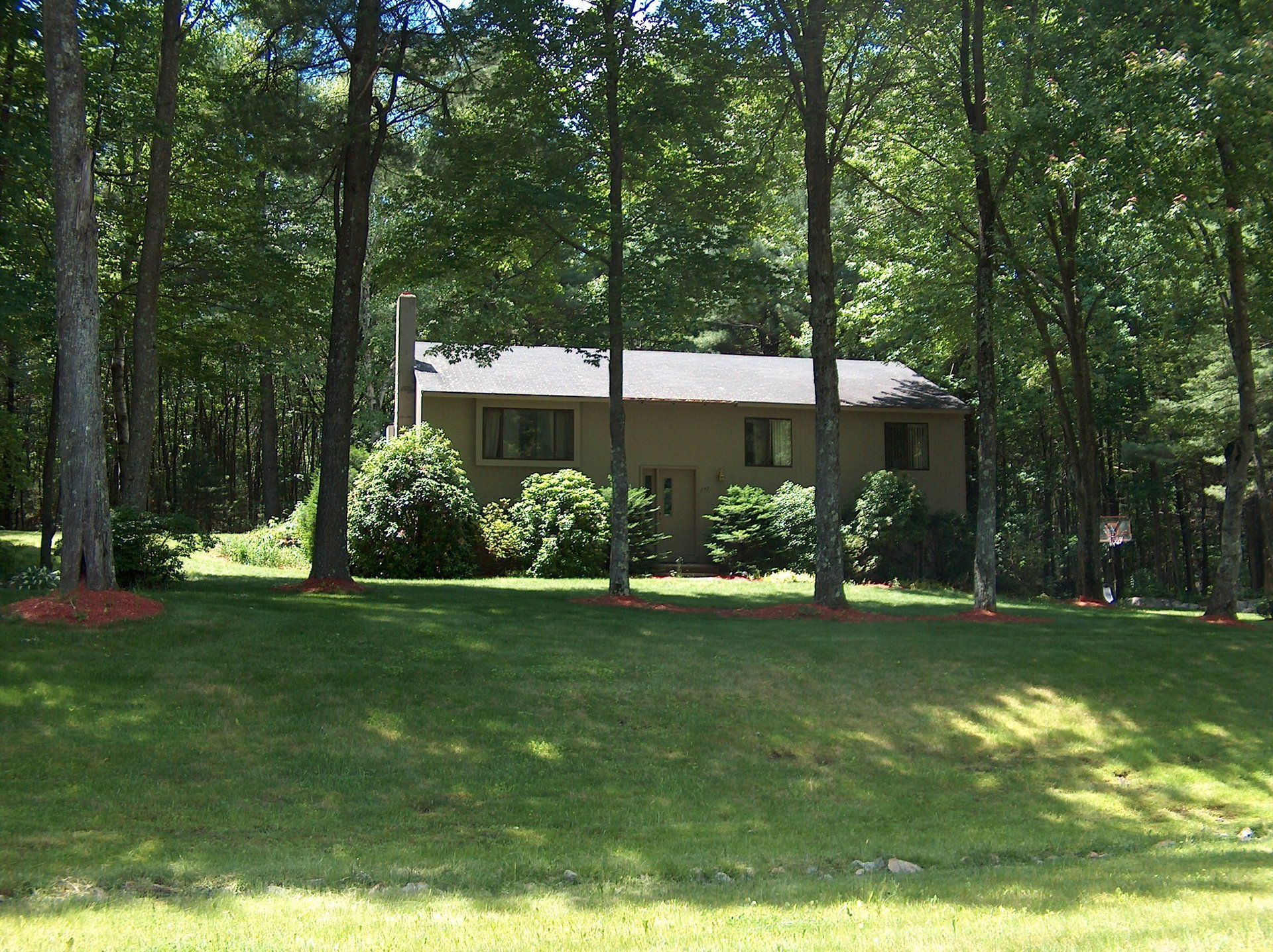 A house in the middle of a lush green forest