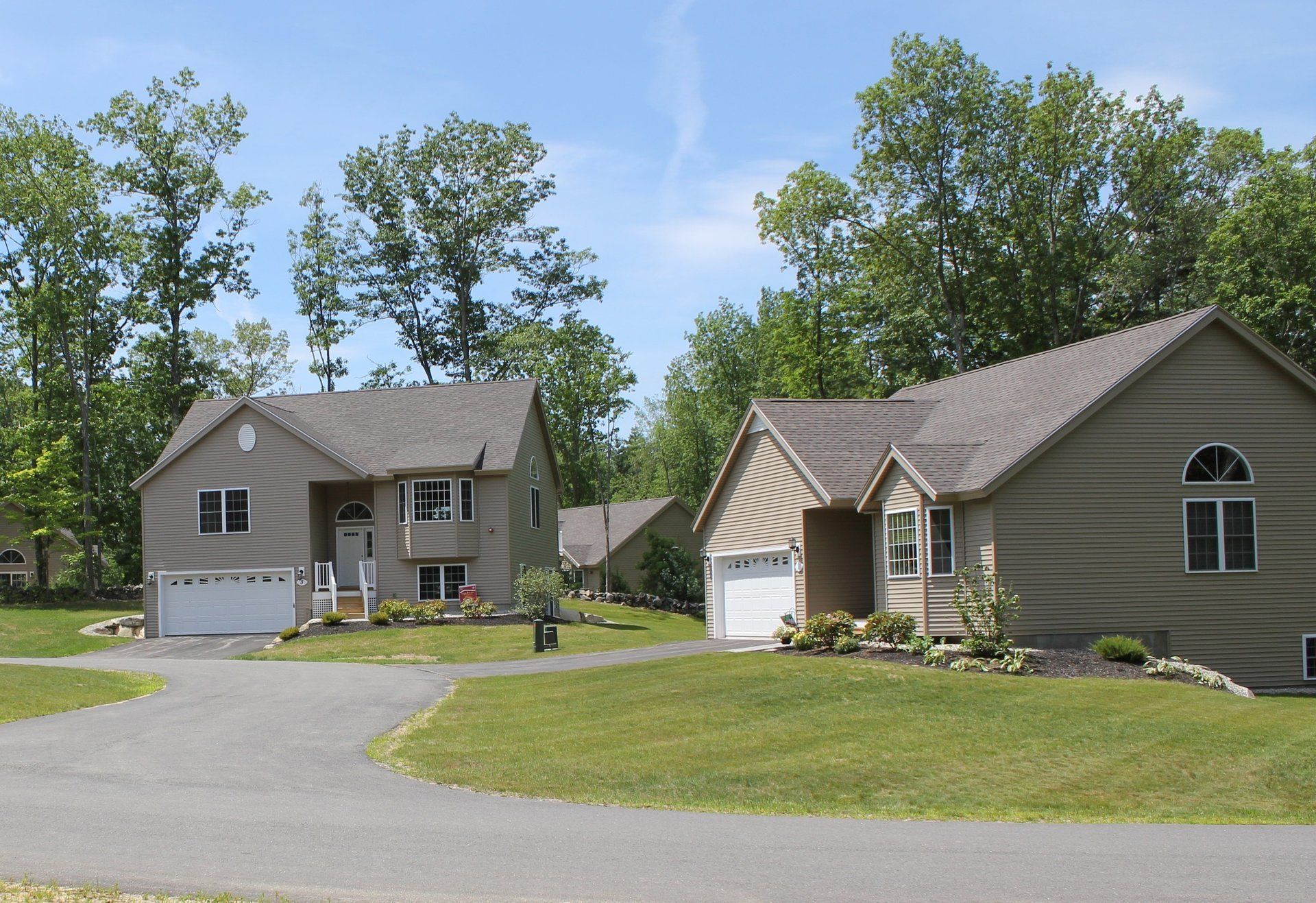 A row of houses in a residential area with trees in the background