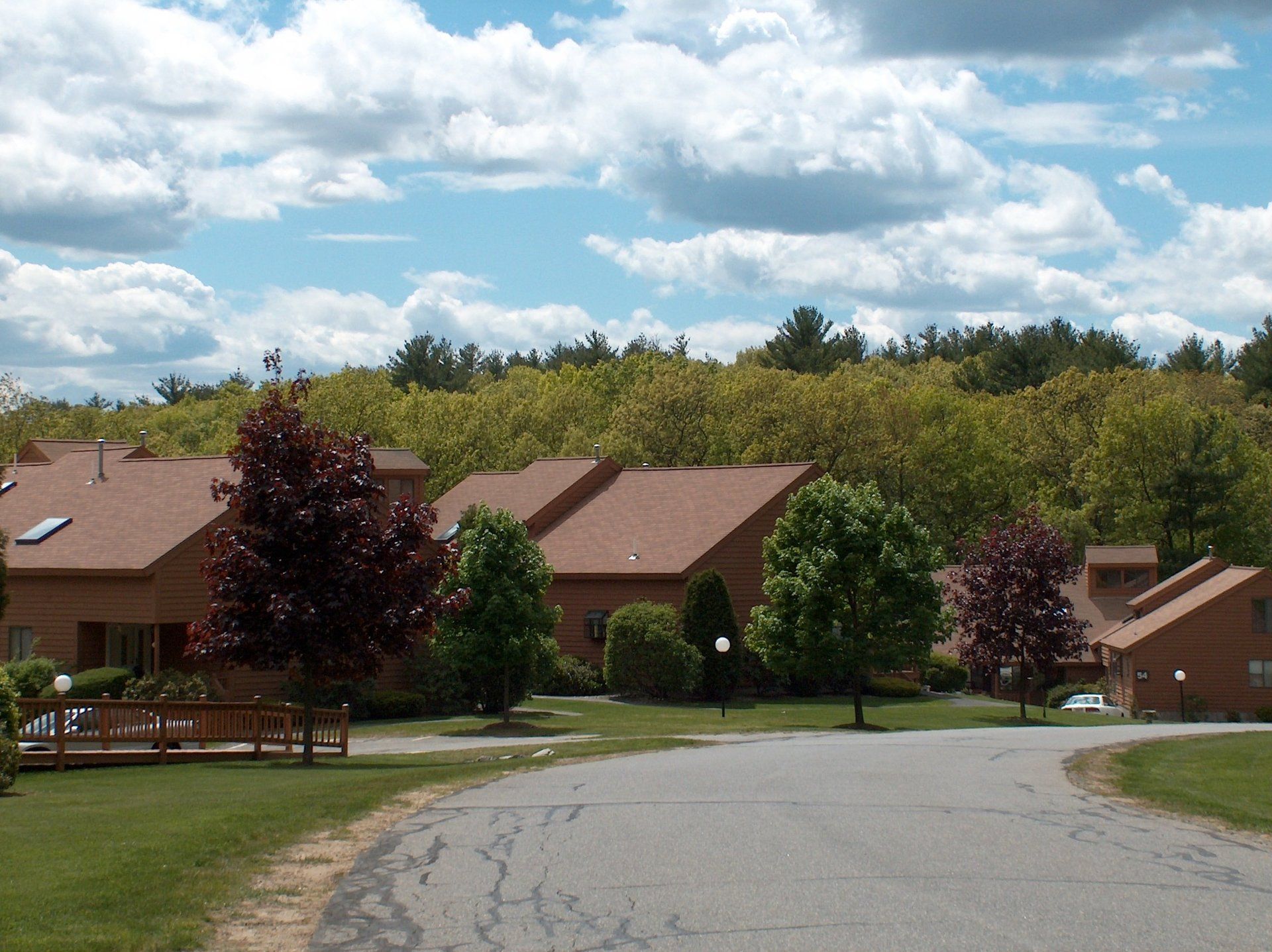 A row of houses on a sunny day with trees in the background