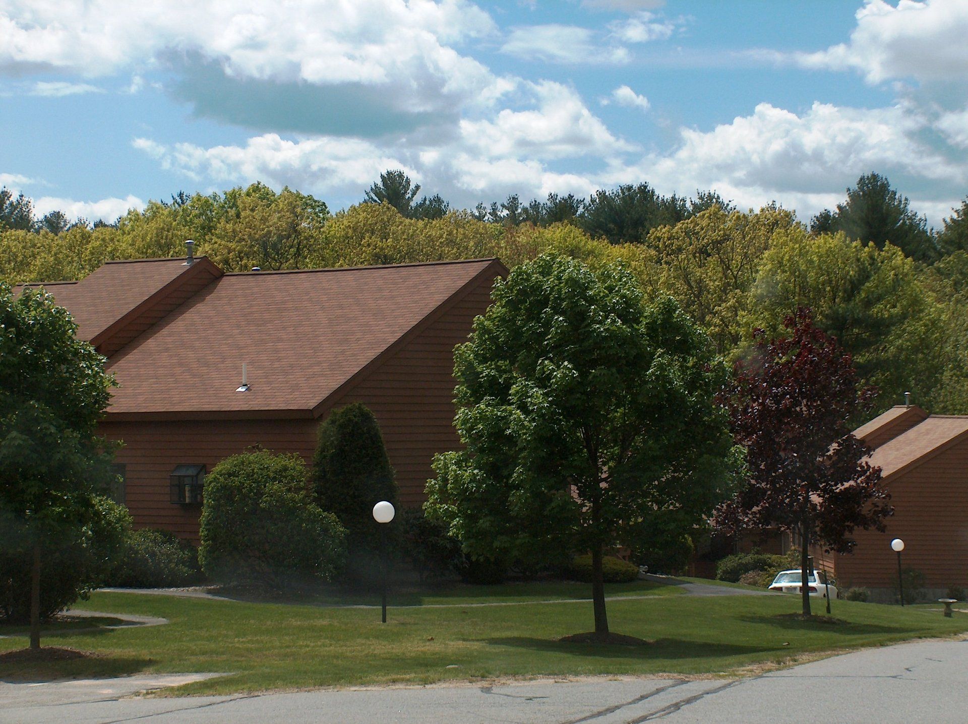A row of houses with trees in front of them