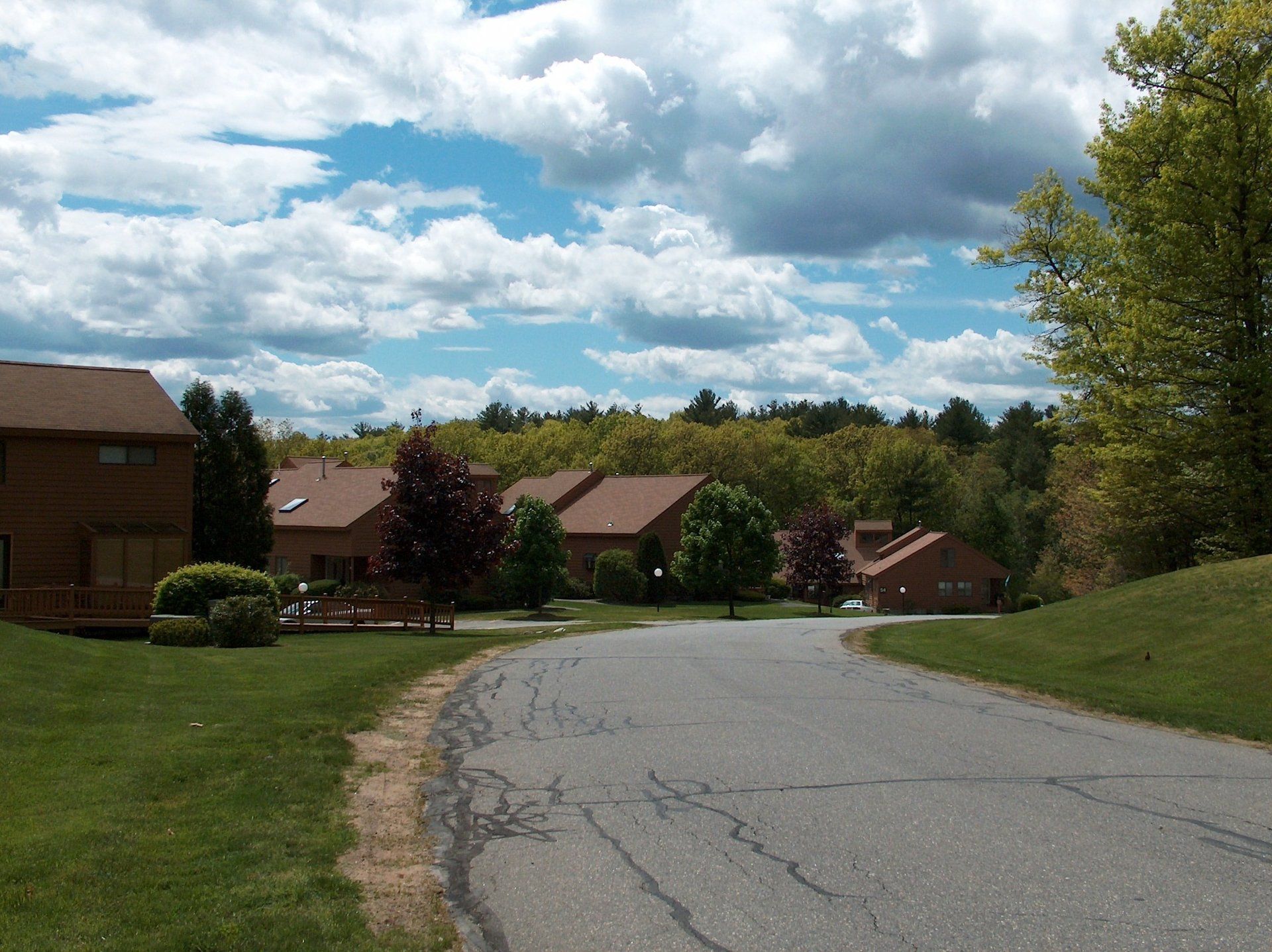A residential area with houses and trees on a sunny day