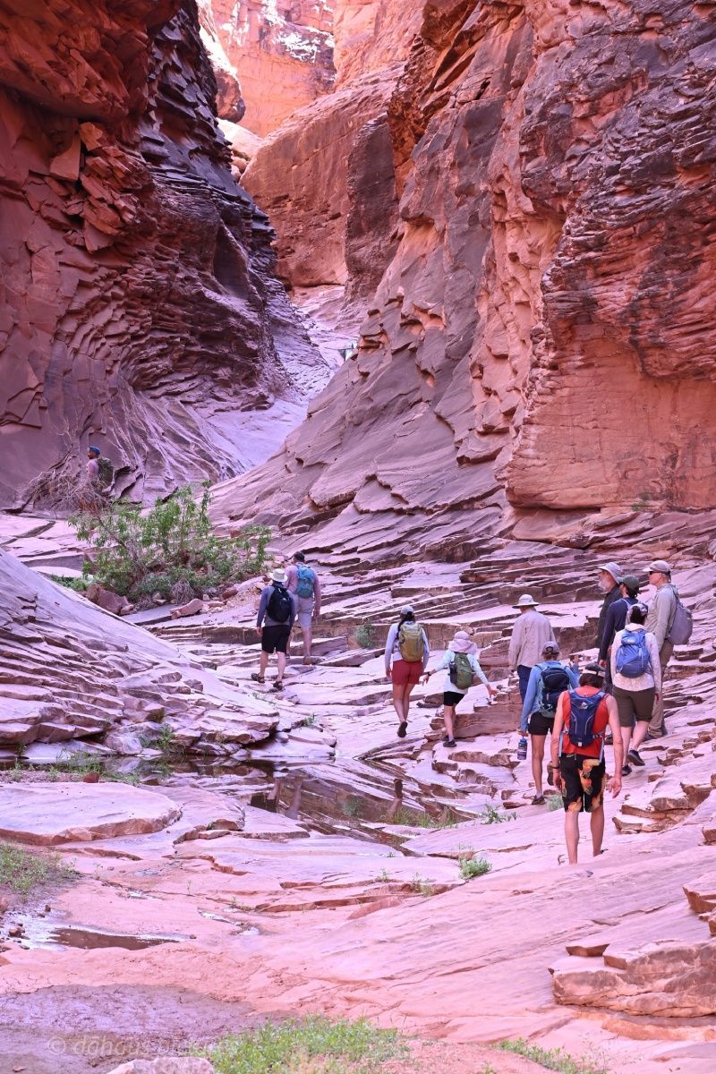 A group of people are walking through a canyon