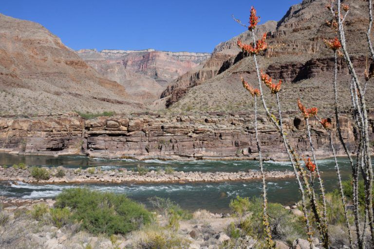 A river flowing through a canyon with mountains in the background