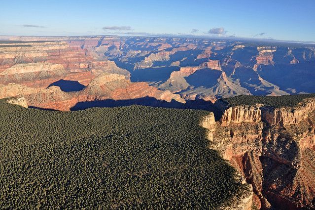 An aerial view of the grand canyon with a forest in the foreground.