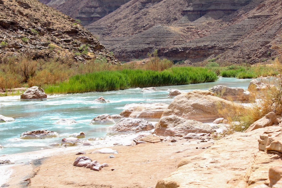 River flows through a canyon, turquoise water with rocks, green vegetation on banks, desert landscape.