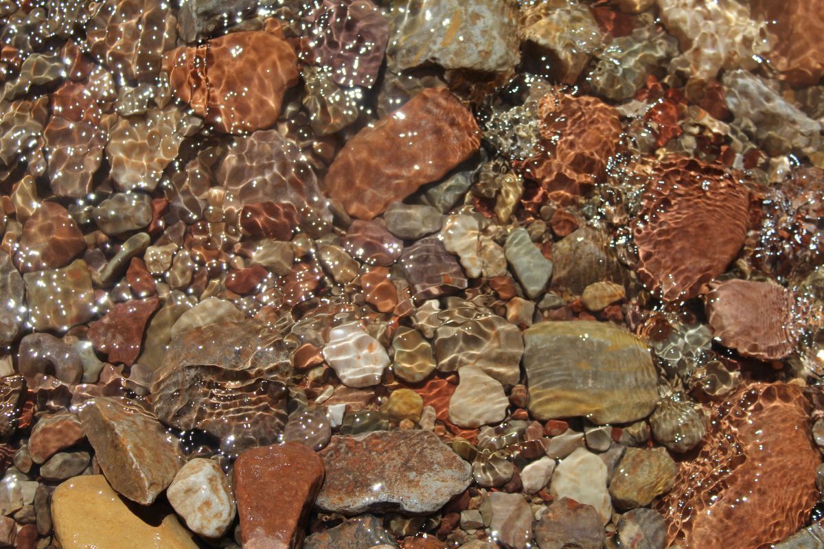Water flowing over colorful, wet rocks in sunlight.